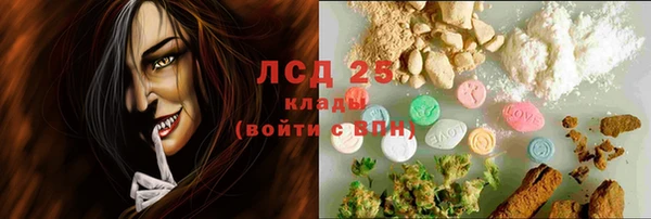 сатива Осташков