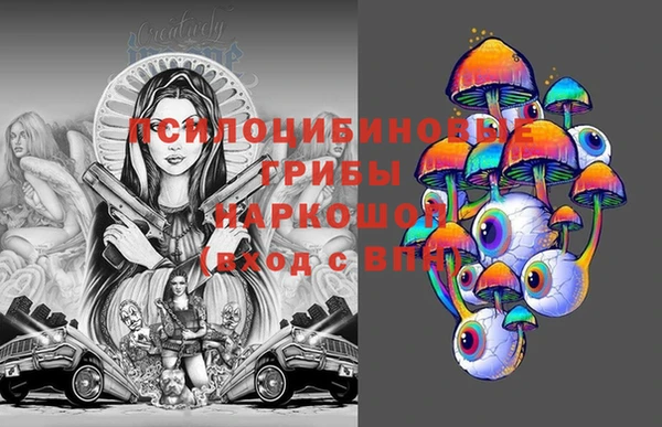 стаф Осинники