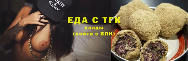 стаф Осинники