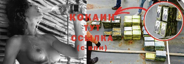 сатива Осташков