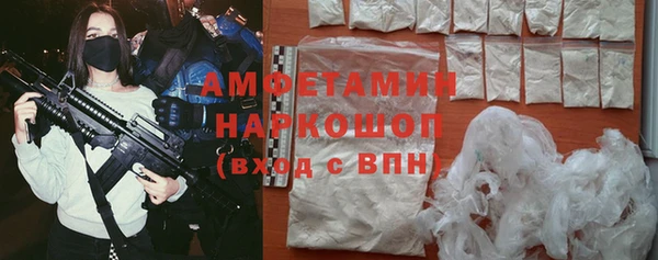 стаф Осинники