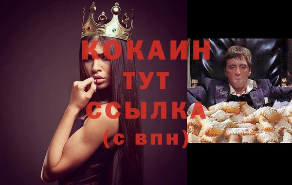 стаф Осинники