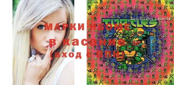 сатива Осташков