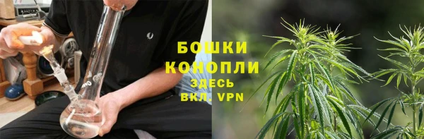 сатива Осташков