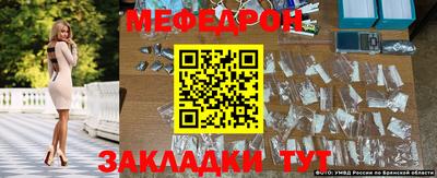 стаф Бийск