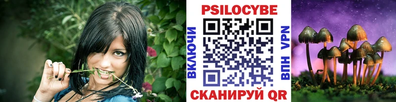 закладки  ОМГ ОМГ ссылки  Галлюциногенные грибы Magic Shrooms  Шумерля 
