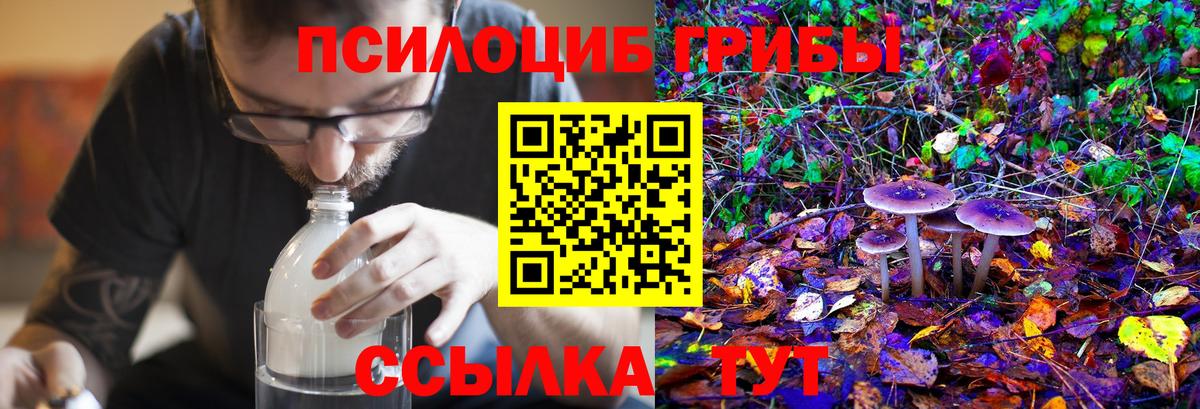 Галлюциногенные грибы ЛСД Шумерля